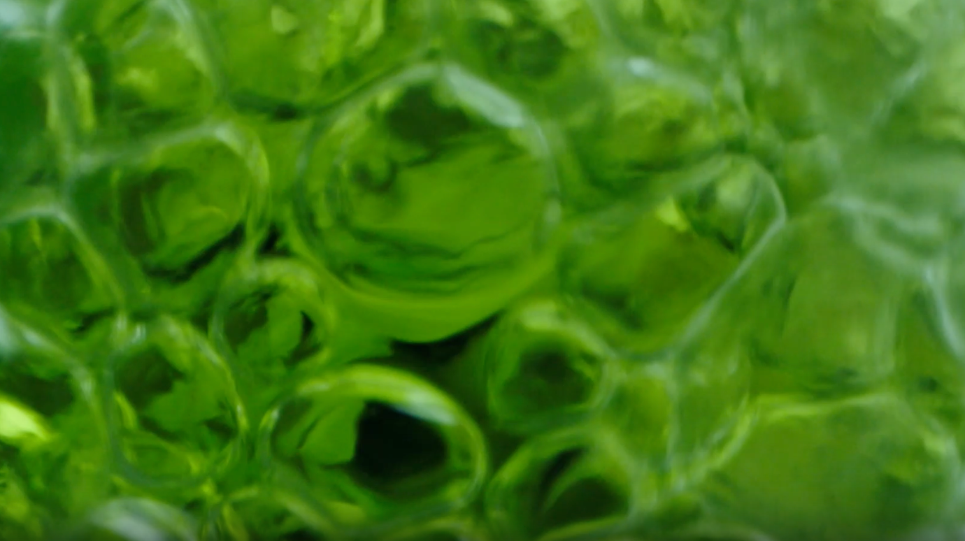 Skin Purging vs. Skin Training: Understanding Your Incellderm Journey