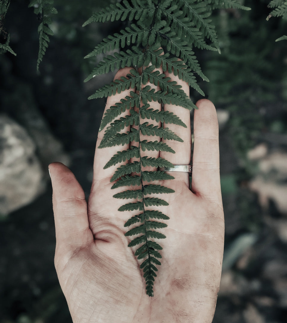 Korea's #1 beauty products are coming to USA