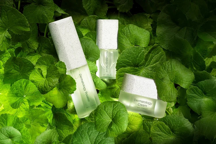 korean skincare brand